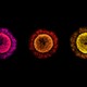 three coronavirus particles in different colors
