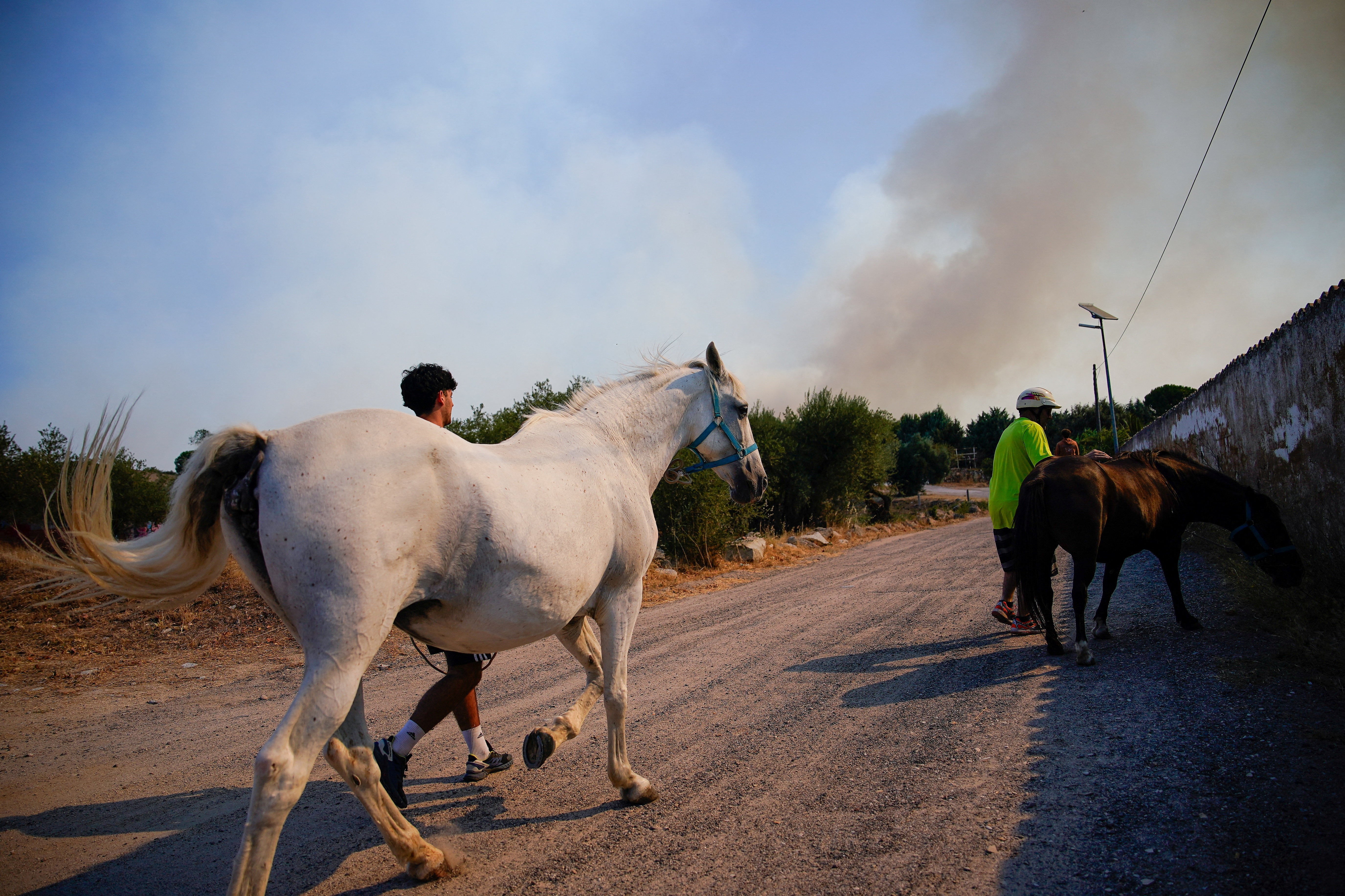People walk two horses on a gravel road, as wildfire smoke rises in the distance.