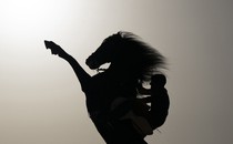 A silhouette of a man riding on a horse that is rearing up.