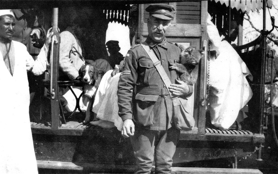 pic World War 1 Photos Animals In The War The Atlantic world war i in photos animals at war