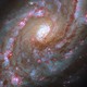 A telescope view of a swirling galaxy lined with bright pink patches and lanes of dark dust