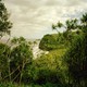 photo of lush green landscape with trees surrounding view of cliff and ocean inlet, with gray clouded sky