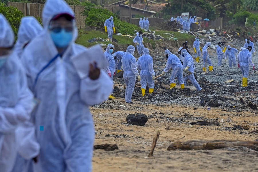 Dozens of people in protective gear work to clear debris from a beach.