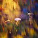 A moody, impressionistic shot of 4 people walking in the rain carrying umbrellas