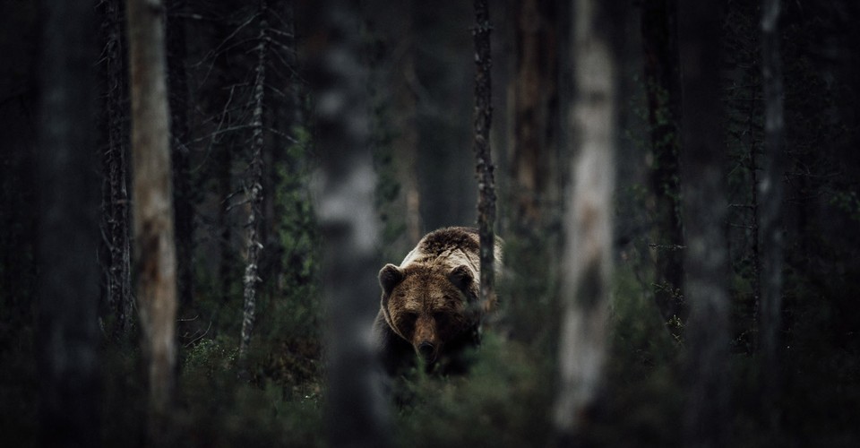 2015 National Geographic Traveler Photo Contest The Atlantic