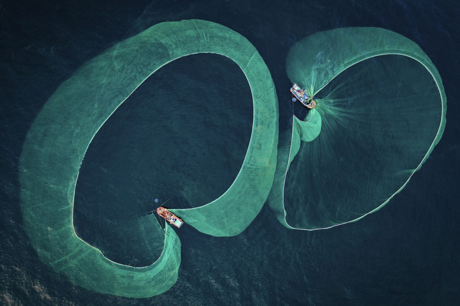 An overhead view of two fishing boats as they haul in large circular fish nets.