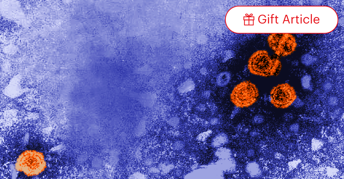 Hepatitis B, the Oldest Virus Ever Sequenced - The Atlantic