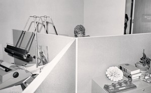 black and white photo of office cubicles with a female office worker's head visible in the back over the cubicle walls