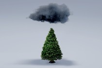 A raincloud over a Christmas tree