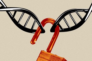 Color illustration of two double helices being held together by an open orange padlock