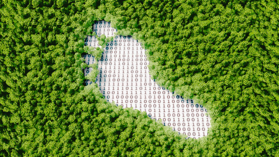 A footprint filled with binary code surrounded by greenery