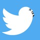 Twitter's logo with Elon Musk's face on the bird