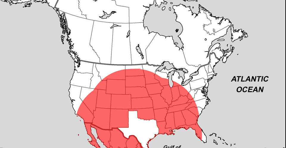 What's Closer to Texas Than Texas Is to Itself? The Atlantic