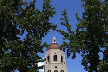 The top of a building, surrounded by trees 