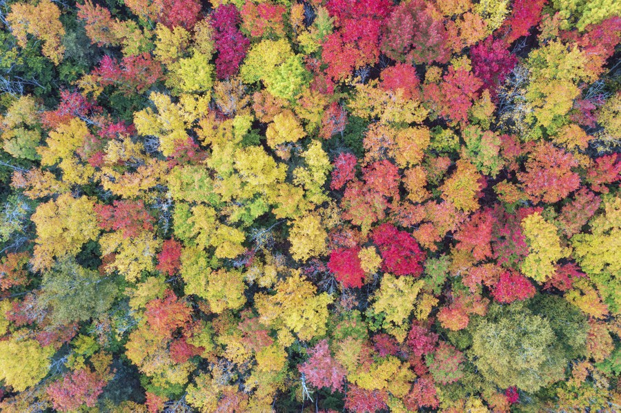 Fall is in the air