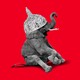An elephant with a tin-foil hat, on a red background