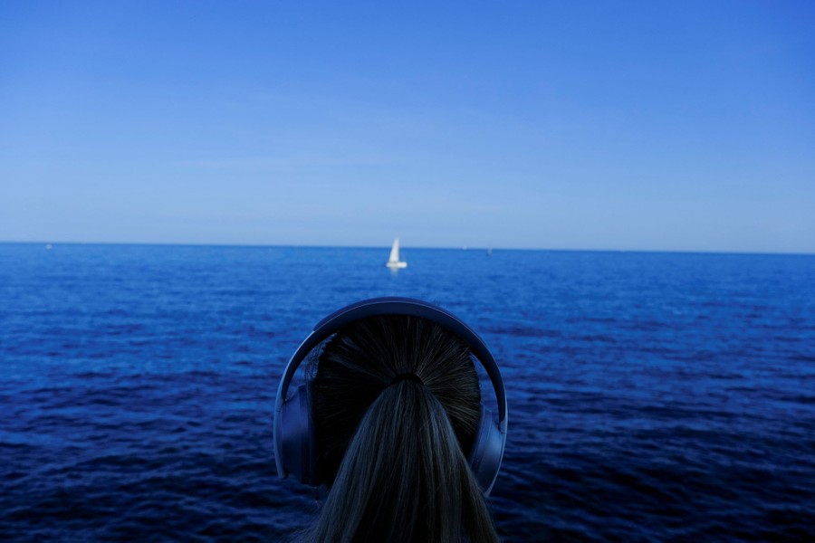 A view of the ocean, with the back of a person's head at bottom center.