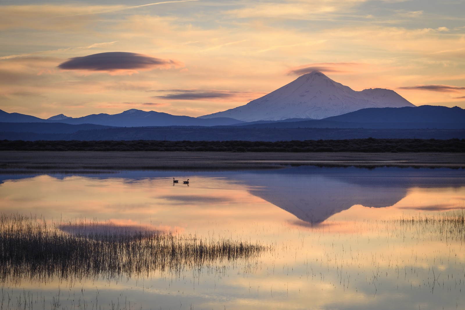 A pair of geese swims in a calm lake, with a tall mountain in the background.
