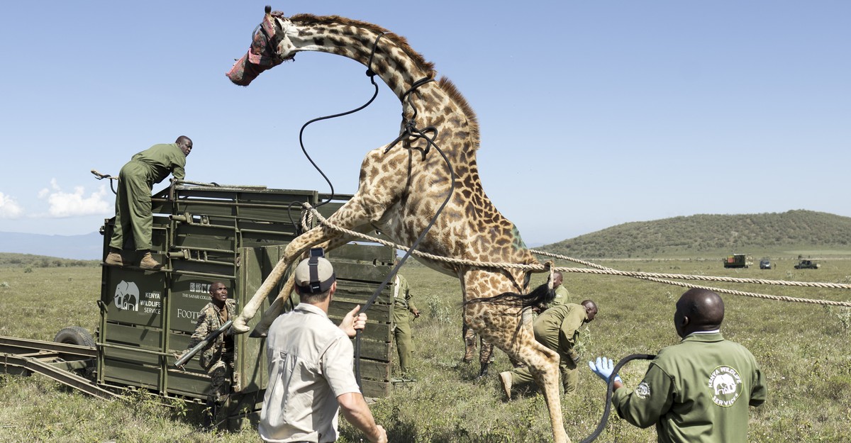 cdn.theatlantic.com image