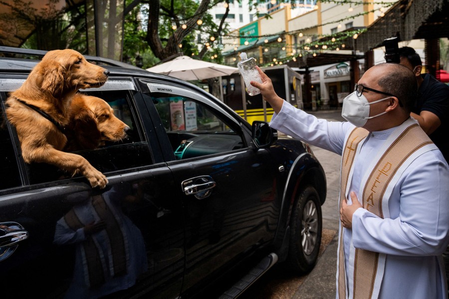 A priest sprinkles holy water on a pair of dogs at a drive-through pet blessing.