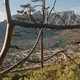 Color photograph through branches of Table Mountain with city below.