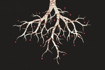 The root of a tree, with a map drawn all over it and red points