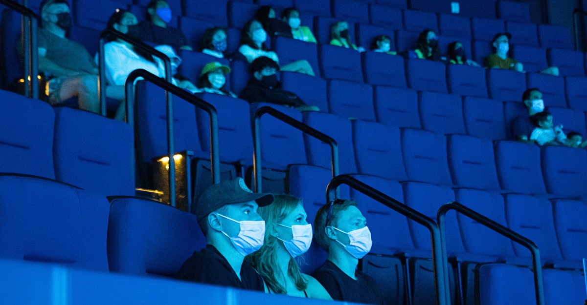 Enjoy the COVID Grace Period The Atlantic