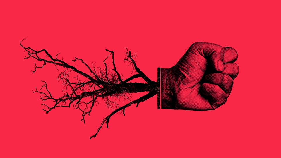 A burned tree and a fist