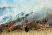 bushfire in california