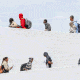 Line of disappearing migrants