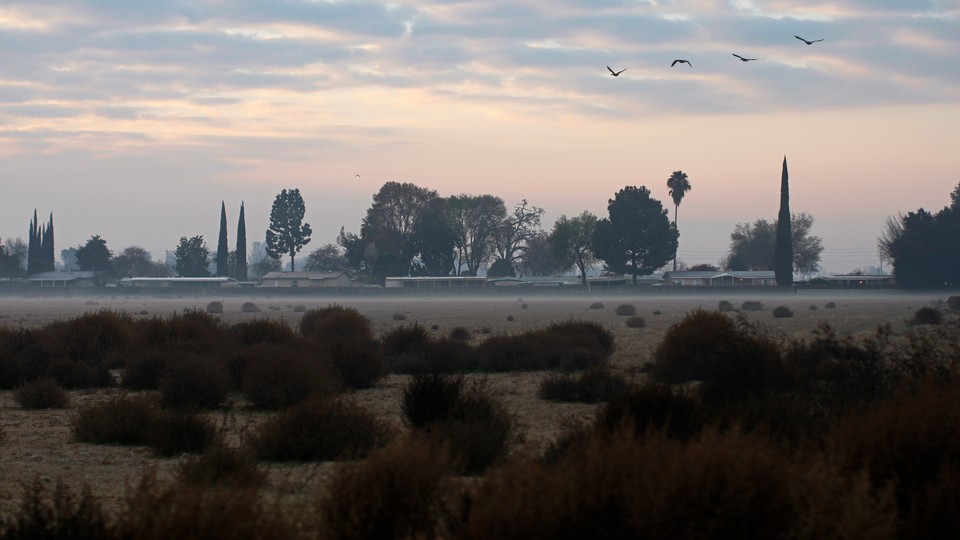 Geese fly above a fallow field in California.