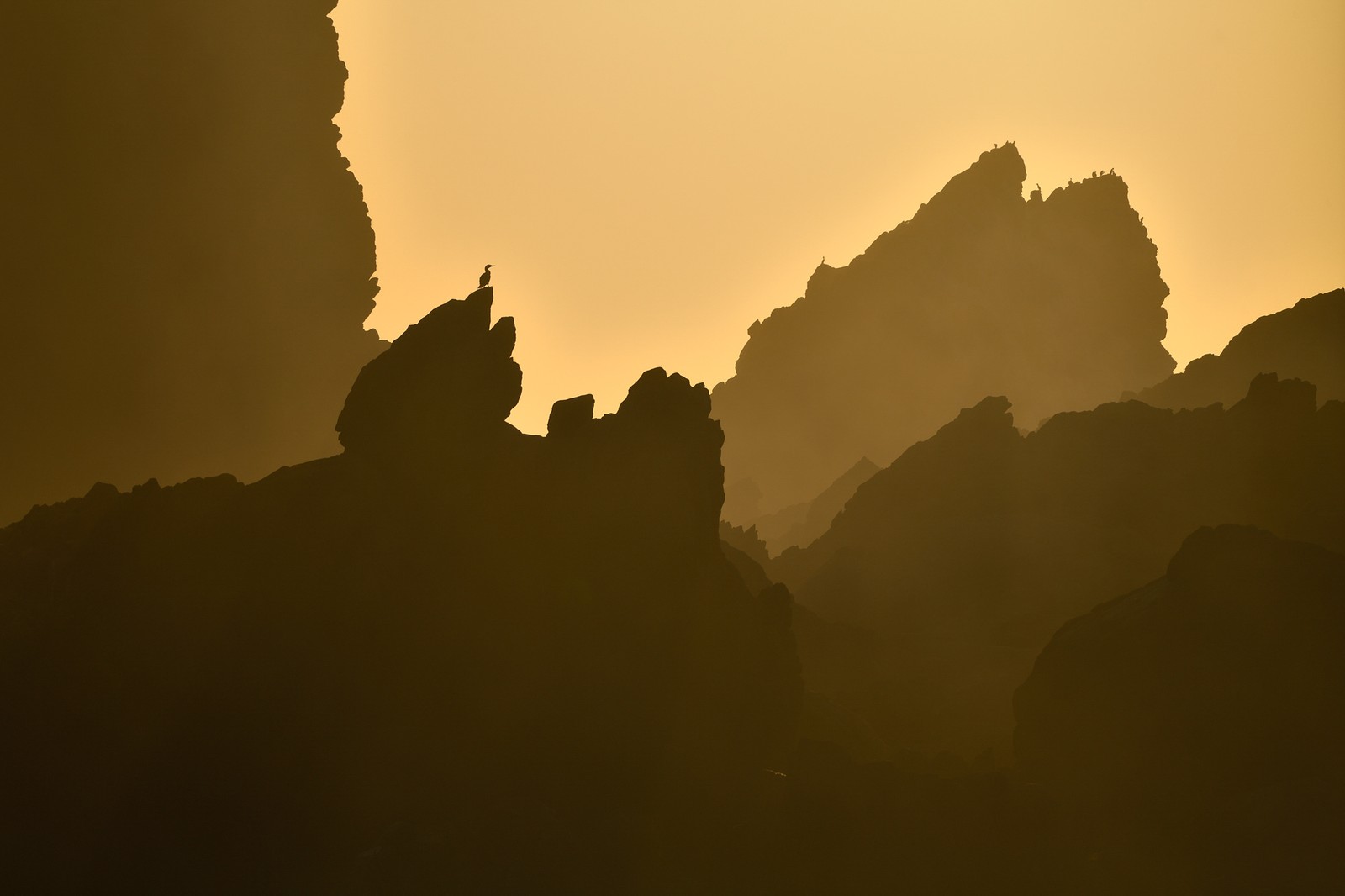 Jagged coastal rocks, seen in silhouette, with one prominent cormorant perched on top of one of the rocks