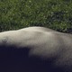 The torso of a shirtless person lying in the grass