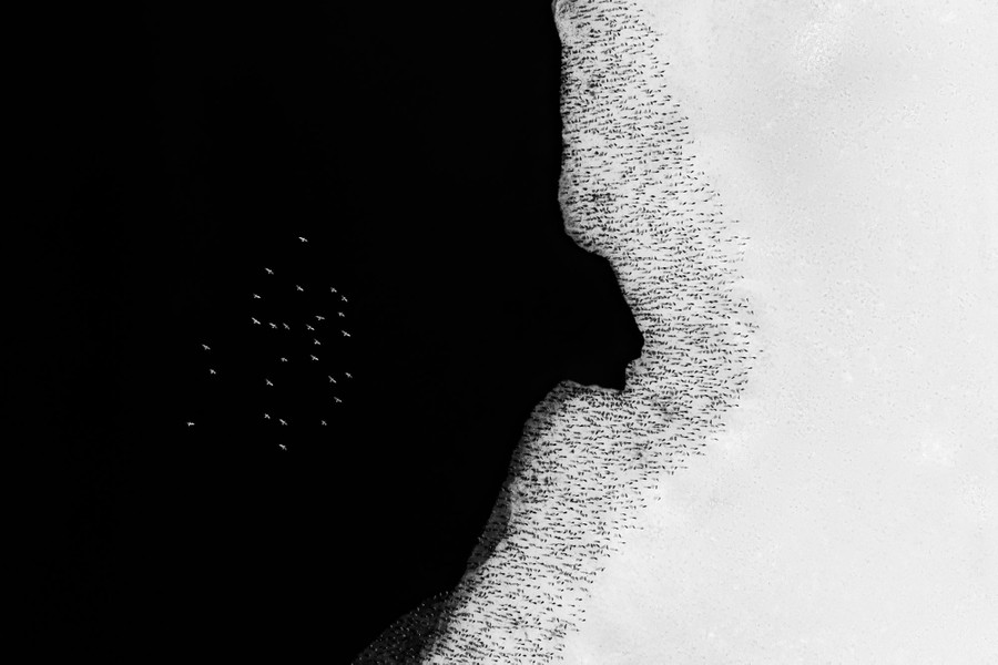 An aerial view of birds on a snow-covered shoreline and a small flock flying over the dark water