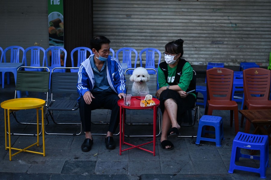 Two people sit in chairs on either side of their small dog, who also sits in a chair, in front of a small table with drinks and wrappers on it.