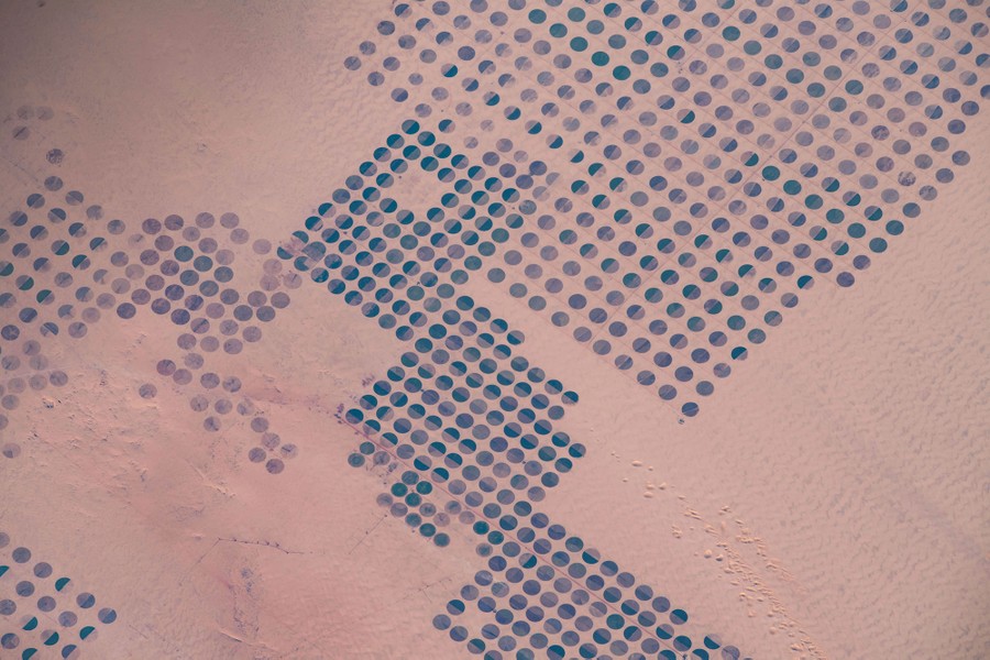 An elevated view of many dark circles, irrigated fields, in a desert