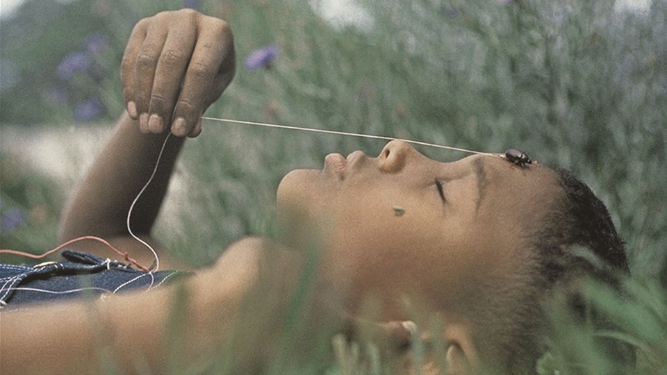An image of a young Black child lying in the grass with their eyes closed.