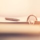 warm, almost sepia-sunlit photo of a white ballpoint pen sitting atop an open spiral notebook