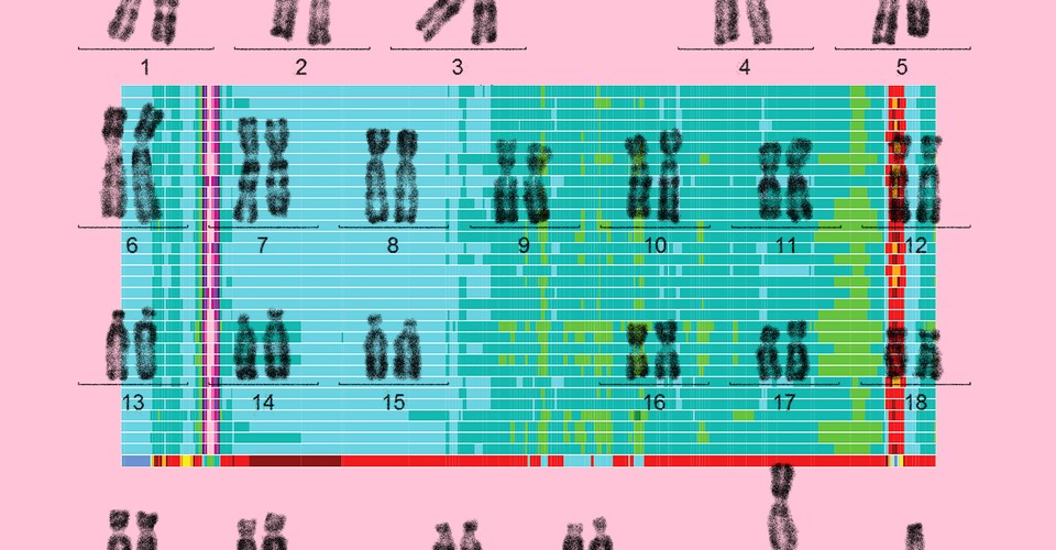 The Human Genome Project left 8 percent of our DNA unexplored. Now, for the first time, those enigmatic regions have been revealed. When the human gen