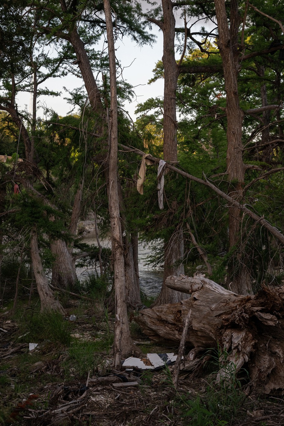 TexasFlood_008.jpg