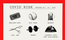 A "COVID risk" chart with photos of items representing various activities—a baseball, a beer, etc.