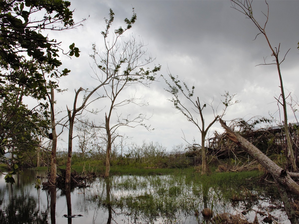 Puerto Rico's Environmental Catastrophe - The Atlantic