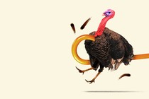 Turkey being yanked out of frame by a cane