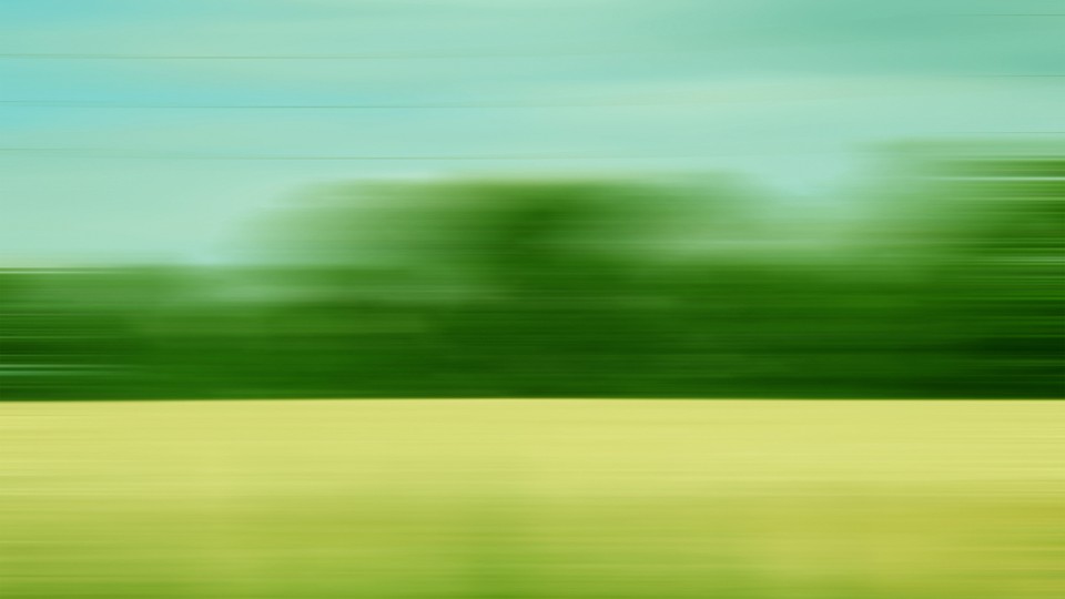 A blurred image of a tree-lined landscape