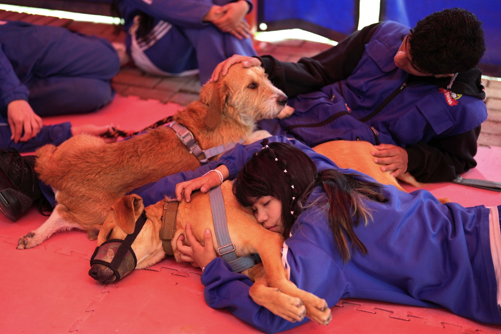Several young people lie on the floor, hugging and petting shelter dogs.