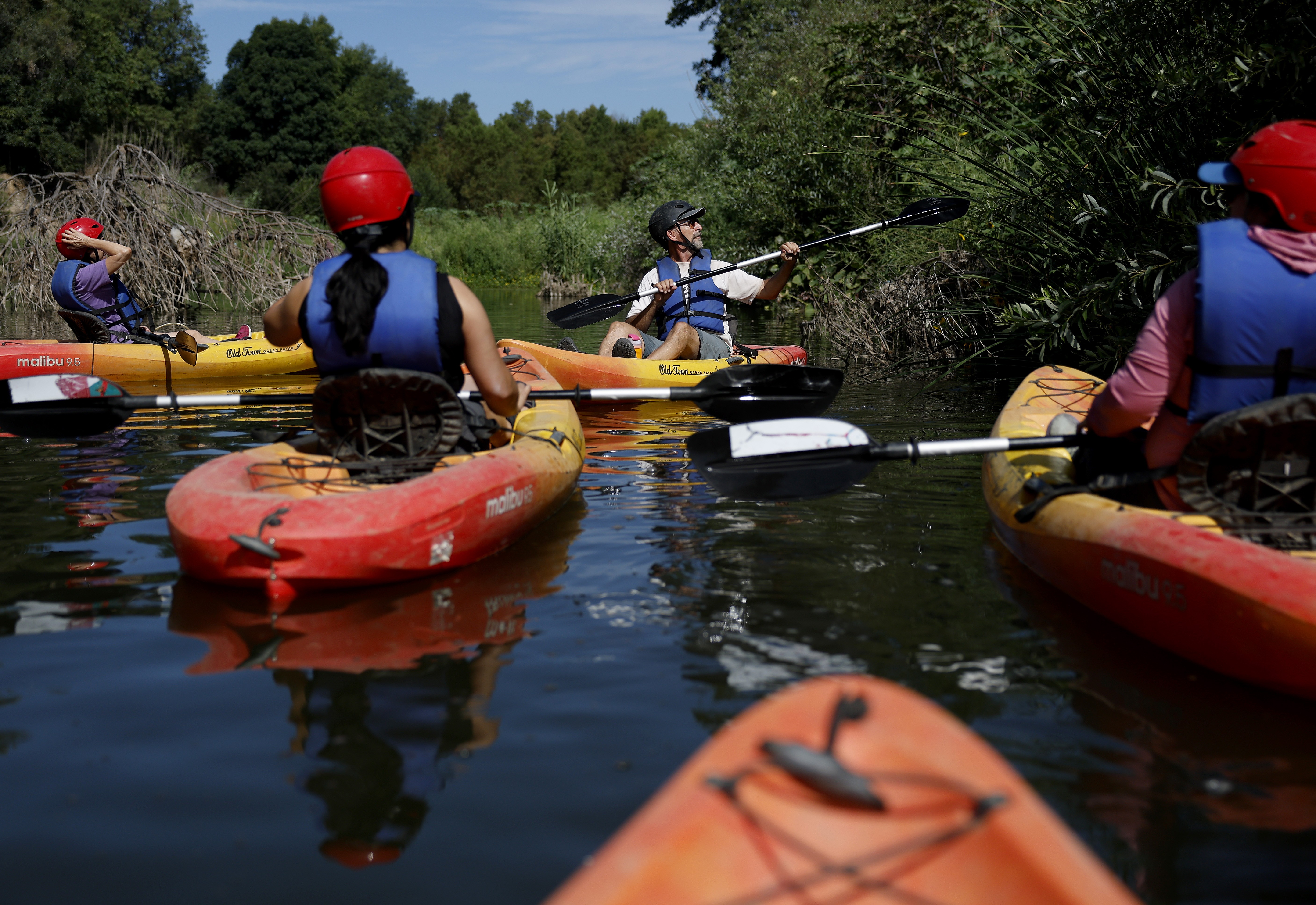 A tour guide points at greenery along a riverbank, as several other kayakers listen.