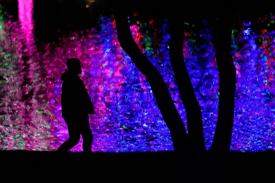 A man is silhouetted against Christmas lights reflected off a pond.