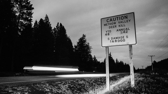 A roadkill caution sign in the Methow Valley
