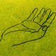 illustration with outline drawing of an outstretched hand, palm facing up, on yellow-green background