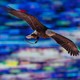 A bald eagle soars into a stadium